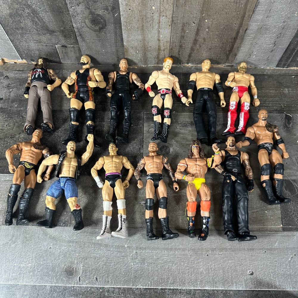 WWE Mixed Lot of 13 Wrestling Action Figure Toys Mostly 2011-2013 Wrestlers WWF